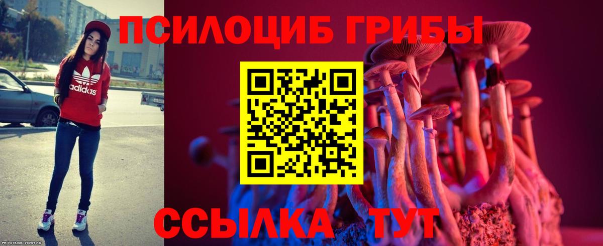 Кизляр  Галлюциногенные грибы Magic Shrooms  Галлюциногенные грибы прущие грибы  Вход с VPN 